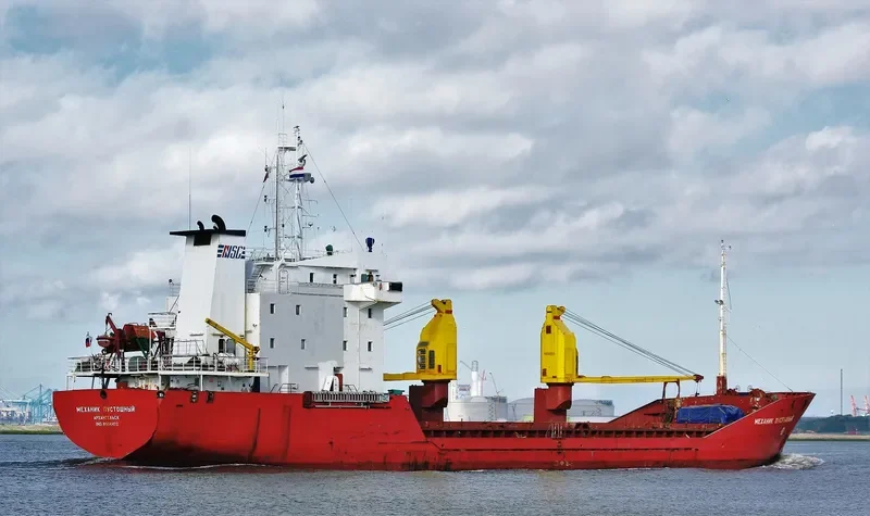 MEKHANIK PUSTOSHNYY General Cargo IMO 8904422 photo 7