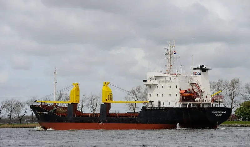 MEKHANIK PUSTOSHNYY General Cargo IMO 8904422 photo 10