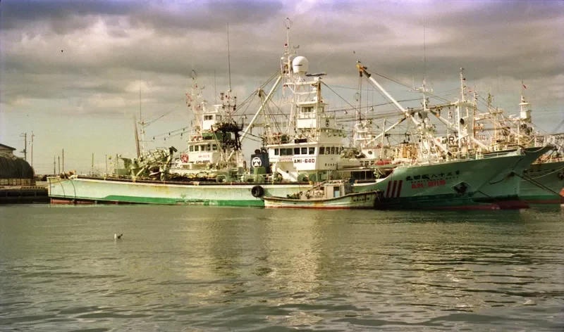 NARITA MARU NO.38 General Cargo IMO 8904898