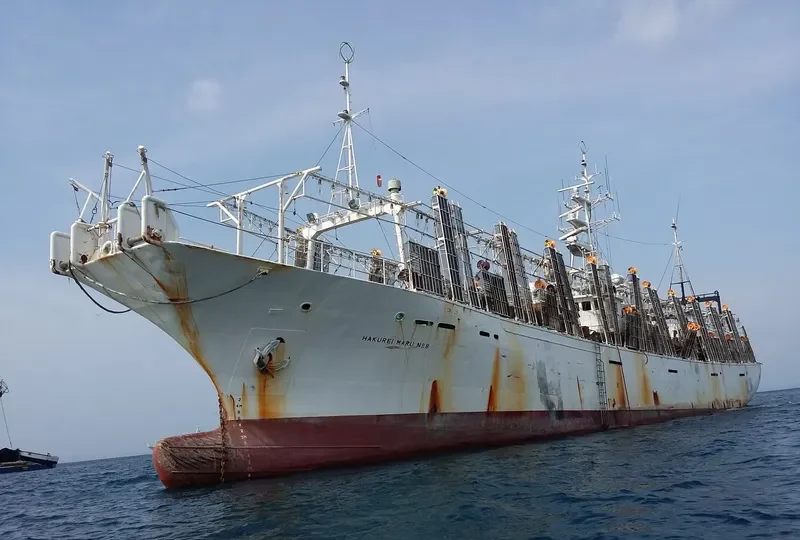 SUNG KYUNG 517 General Cargo IMO 8904903 photo 2