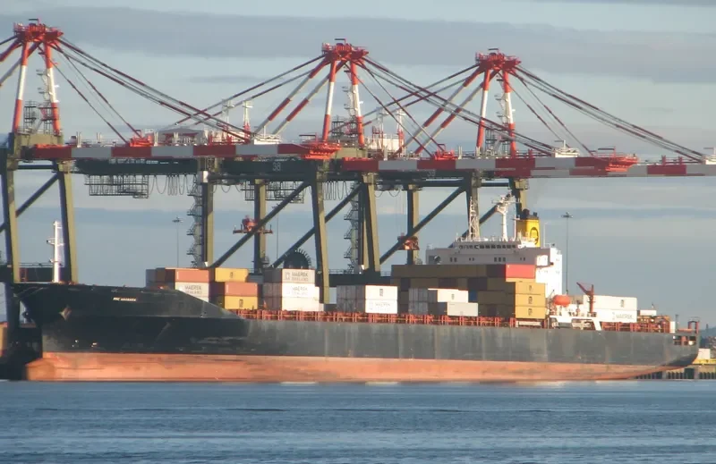 XIN BEI HAI Container Ship IMO 8905933 photo 3