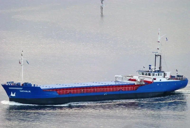 LEILA General Cargo IMO 8906224 photo 2