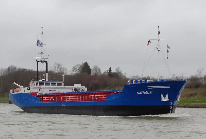 LEILA General Cargo IMO 8906224 photo 5