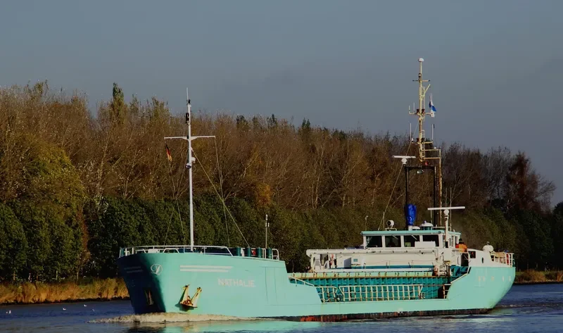 LEILA General Cargo IMO 8906224 photo 6