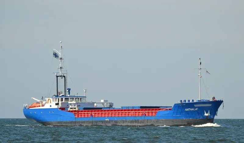 LEILA General Cargo IMO 8906224 photo 9