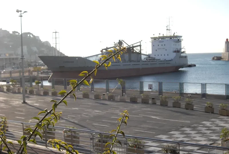 GRIT CEMENT General Cargo IMO 8906482 photo 3
