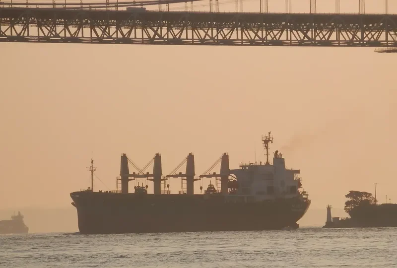 BASHUNDHARA 7 Bulk Carrier IMO 8906834