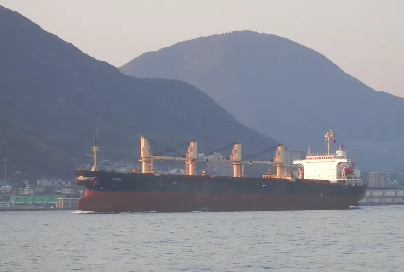 BASHUNDHARA 7 Bulk Carrier IMO 8906834 photo 2