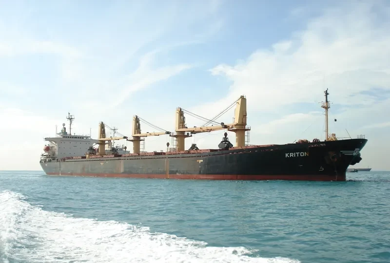 BASHUNDHARA 7 Bulk Carrier IMO 8906834 photo 3
