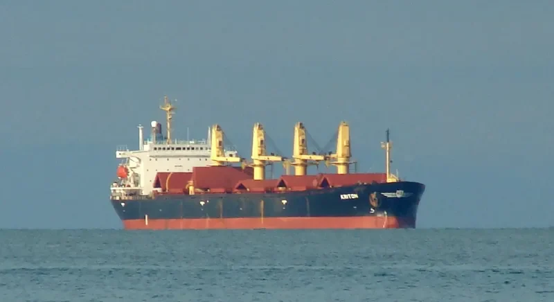 BASHUNDHARA 7 Bulk Carrier IMO 8906834 photo 4