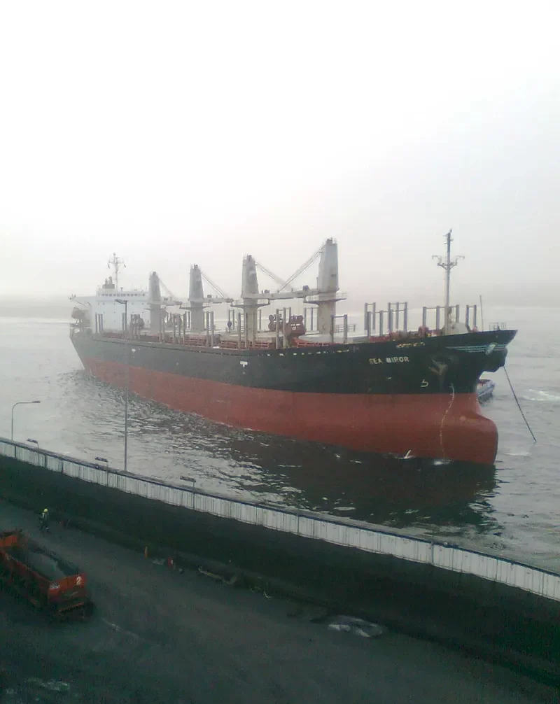 AIZDIHAR Bulk Carrier IMO 8906846 photo 5