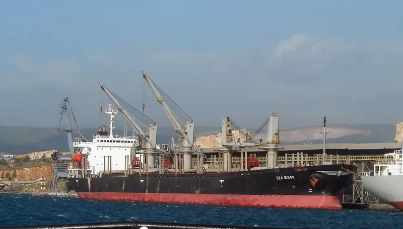 AIZDIHAR Bulk Carrier IMO 8906846 photo 6
