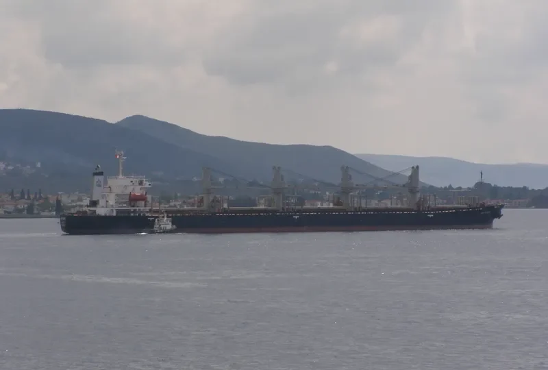 AIZDIHAR Bulk Carrier IMO 8906846 photo 8