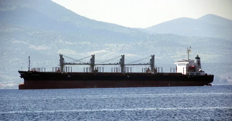 AIZDIHAR Bulk Carrier IMO 8906846 photo 9