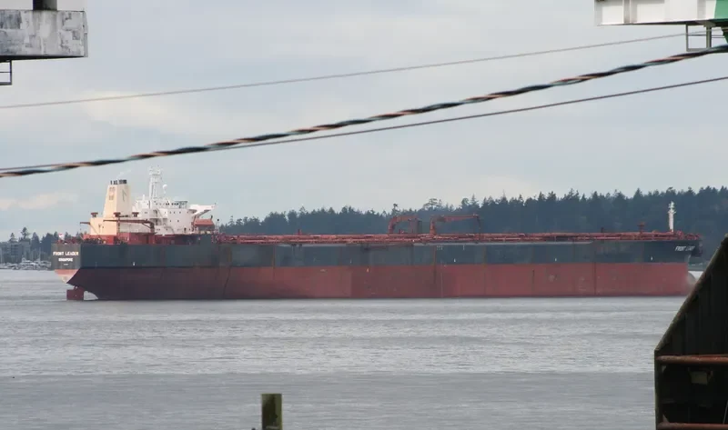 GLORY RIZHAO Bulk Carrier IMO 8906860 photo 10