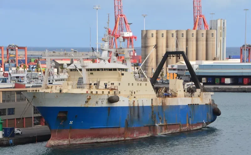 SOLIDARNOST General Cargo IMO 8907084 photo 10