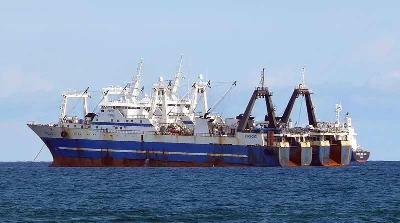 PETR I General Cargo IMO 8907113