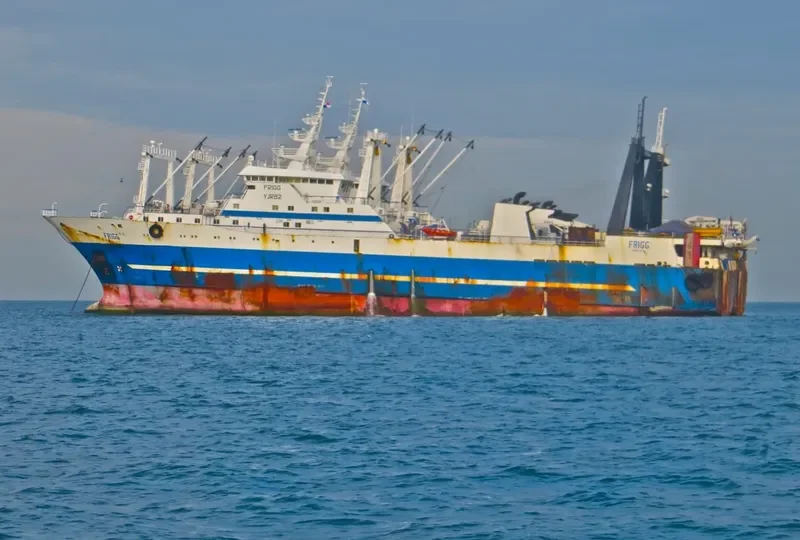 PETR I General Cargo IMO 8907113 photo 3