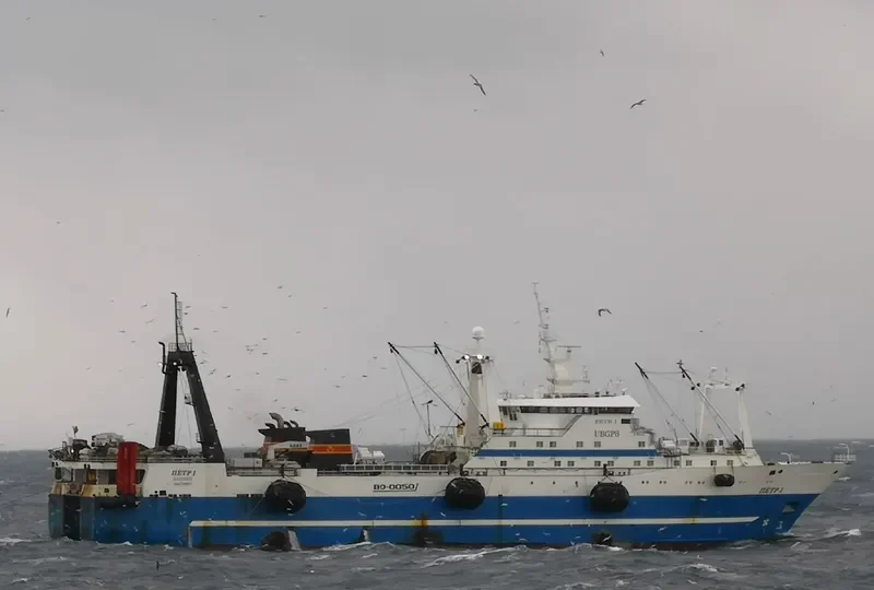 PETR I General Cargo IMO 8907113 photo 10