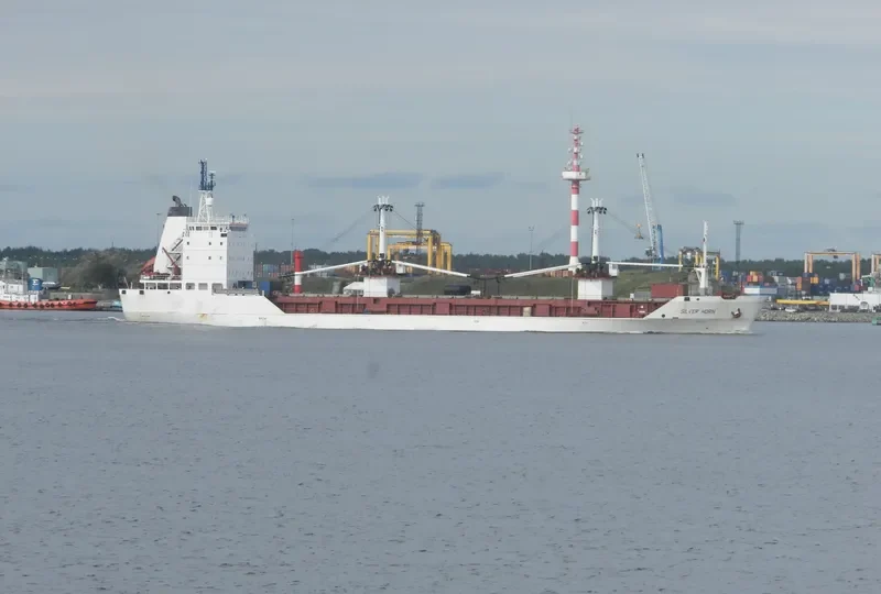 ARCTIC SPIRIT General Cargo IMO 8907204 photo 6