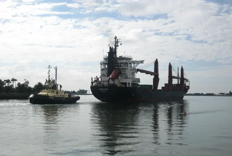 KOKOPO CHIEF Container Ship IMO 8907412 photo 6