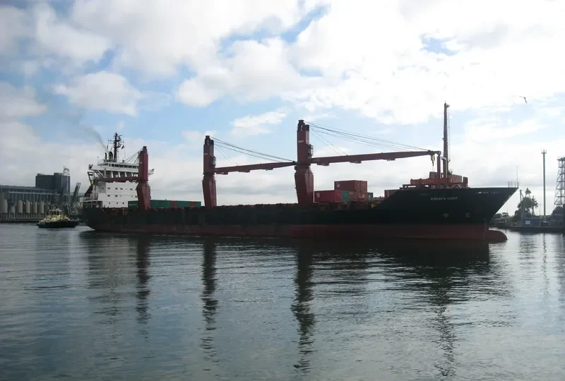 KOKOPO CHIEF Container Ship IMO 8907412 photo 7