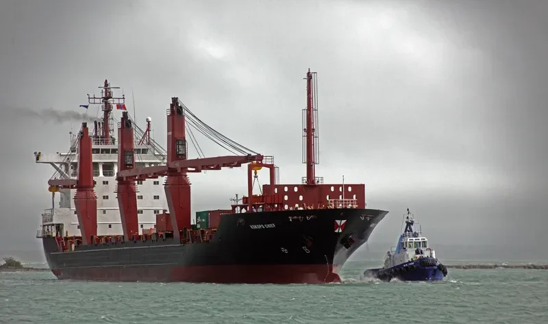 KOKOPO CHIEF Container Ship IMO 8907412 photo 8