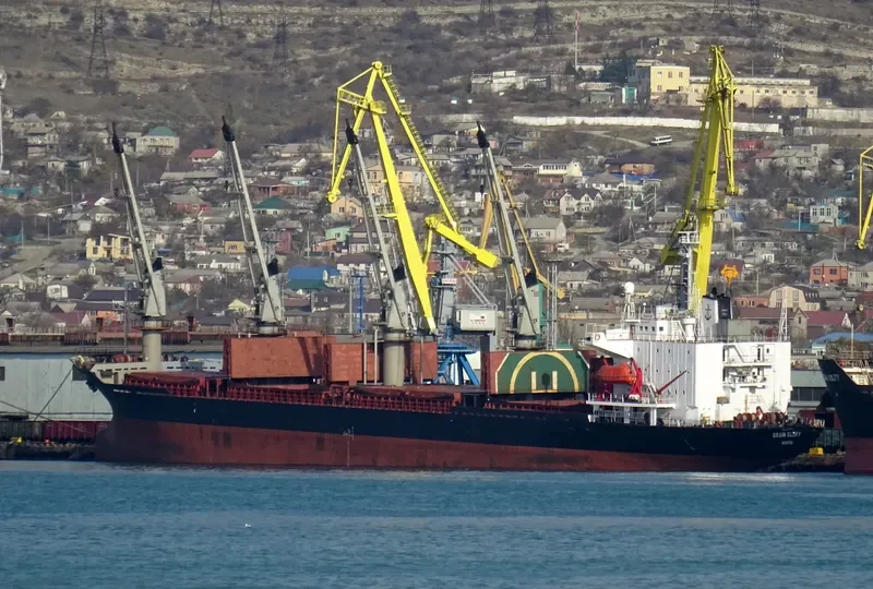 BR GLORY Bulk Carrier IMO 8907577 photo 2