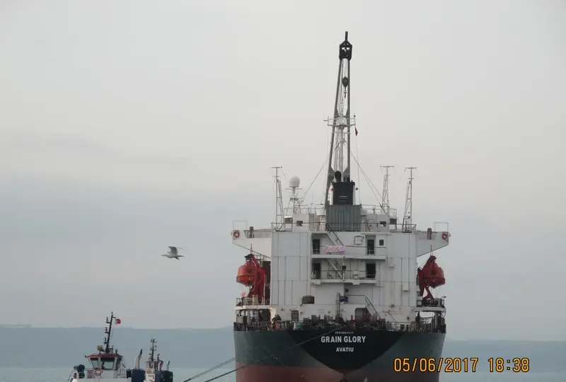 BR GLORY Bulk Carrier IMO 8907577 photo 3