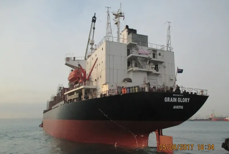 BR GLORY Bulk Carrier IMO 8907577 photo 4
