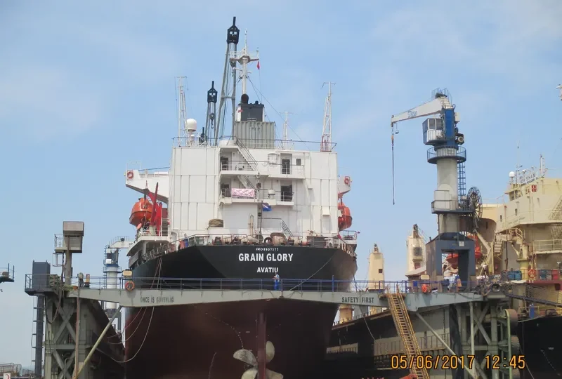 BR GLORY Bulk Carrier IMO 8907577 photo 5