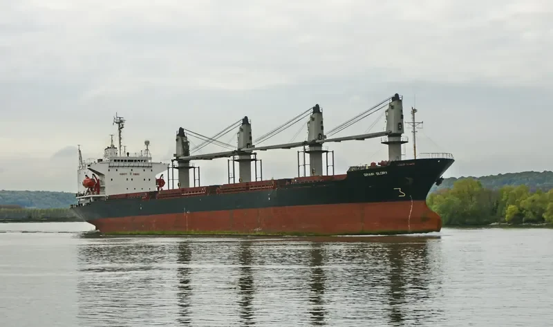 BR GLORY Bulk Carrier IMO 8907577 photo 6