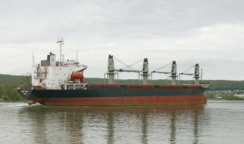 BR GLORY Bulk Carrier IMO 8907577 photo 7