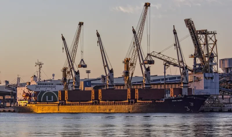 BR GLORY Bulk Carrier IMO 8907577 photo 8
