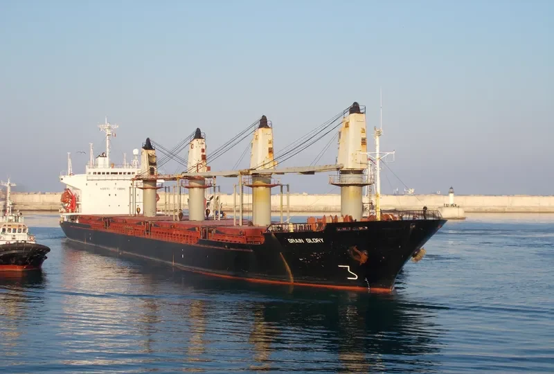 BR GLORY Bulk Carrier IMO 8907577 photo 9
