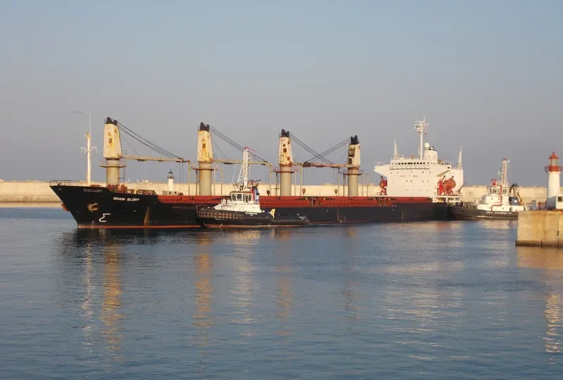 BR GLORY Bulk Carrier IMO 8907577 photo 10