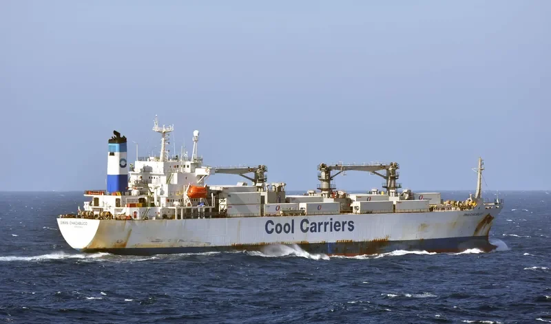 SWAN CHACABUCO General Cargo IMO 8907876 photo 2