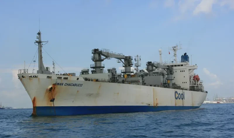 SWAN CHACABUCO General Cargo IMO 8907876 photo 4