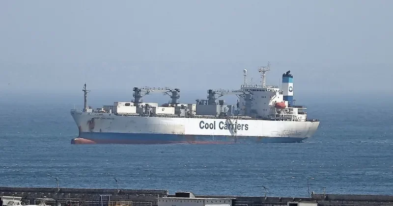 SWAN CHACABUCO General Cargo IMO 8907876 photo 5