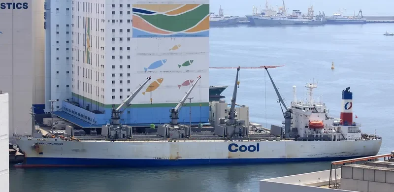 SWAN CHACABUCO General Cargo IMO 8907876 photo 8
