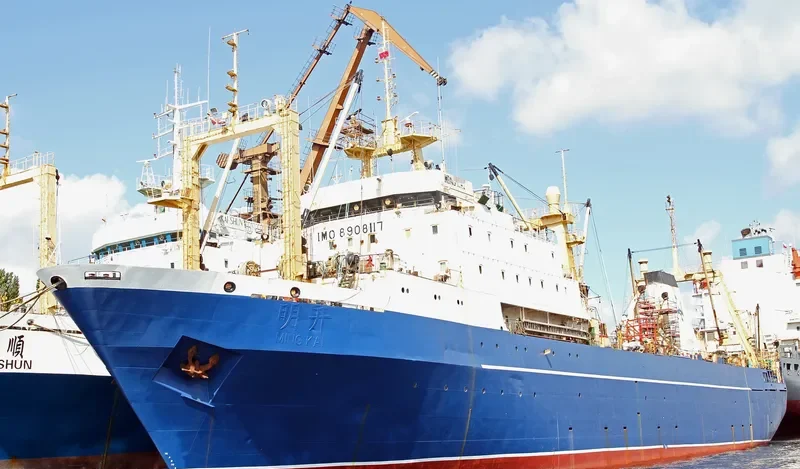 ESTER General Cargo IMO 8908117