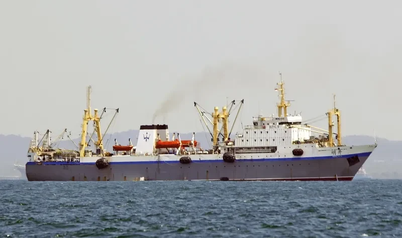 ESTER General Cargo IMO 8908117 photo 4