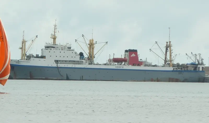 ESTER General Cargo IMO 8908117 photo 5
