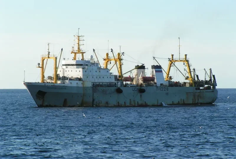 VASILIY KALENOV General Cargo IMO 8908129 photo 3