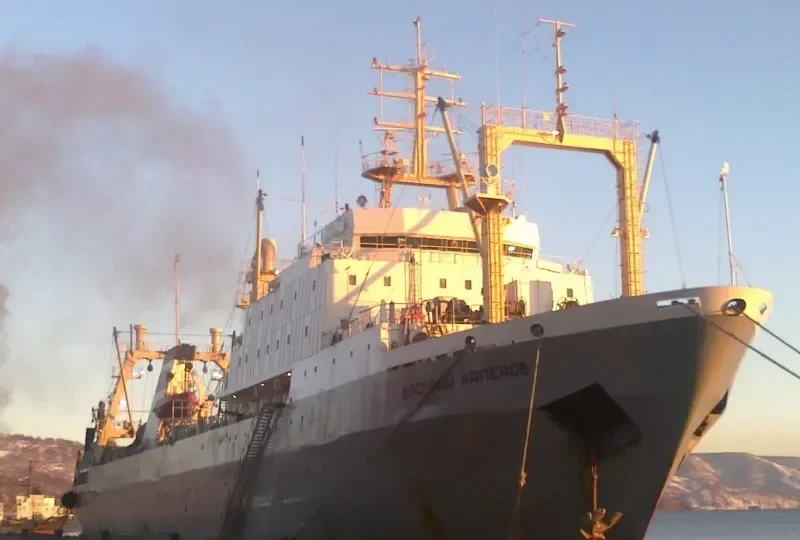 VASILIY KALENOV General Cargo IMO 8908129 photo 4