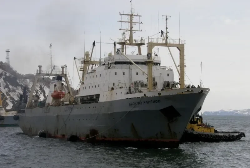 VASILIY KALENOV General Cargo IMO 8908129 photo 5