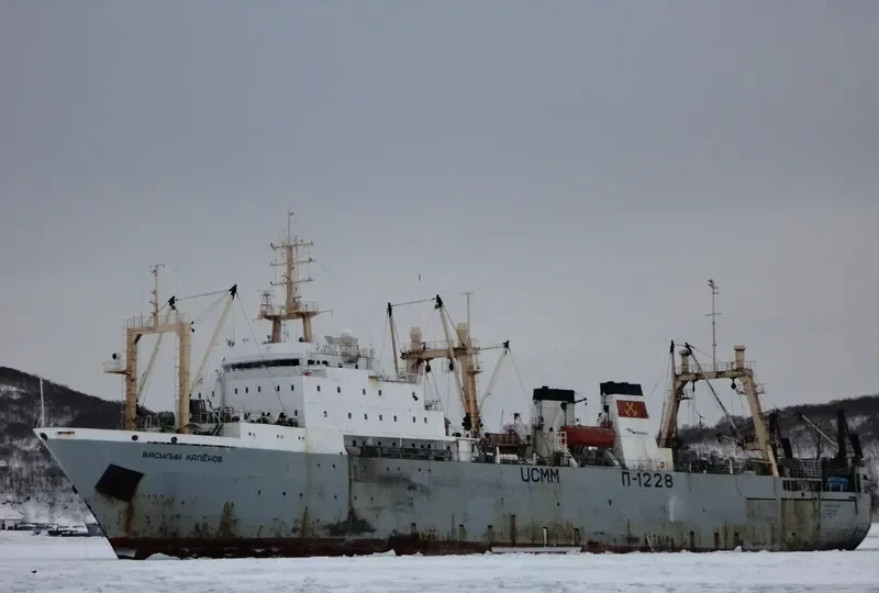 VASILIY KALENOV General Cargo IMO 8908129 photo 6