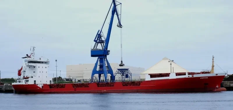 CARINA General Cargo IMO 8908545 photo 4