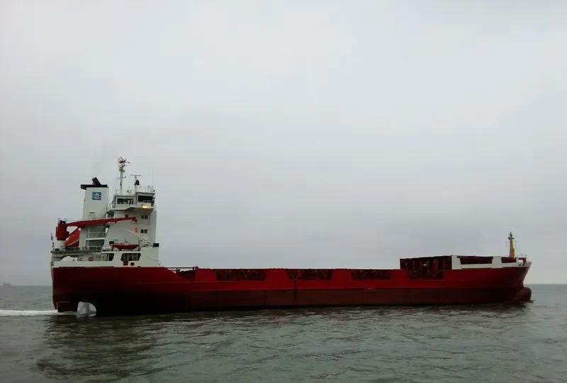 CARINA General Cargo IMO 8908545 photo 6