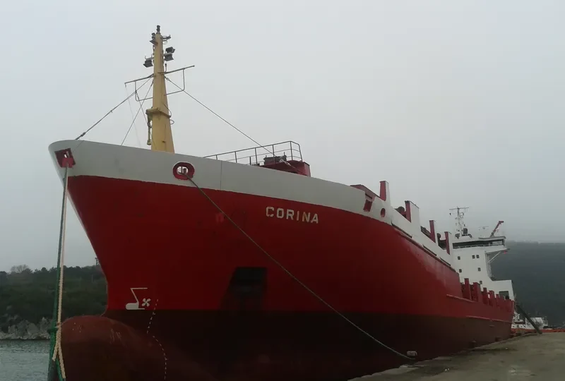 CARINA General Cargo IMO 8908545 photo 9